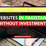 17 Best Online Earning Websites In Pakistan Without Investment In 2024