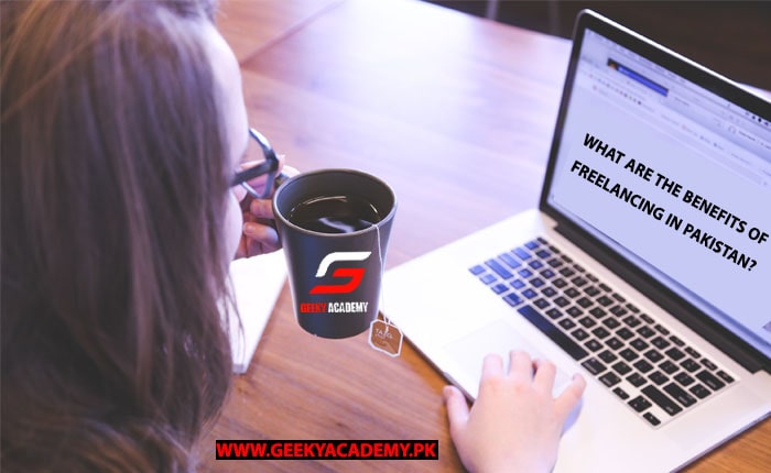 What Are the Benefits of Freelancing in Pakistan - How to Start Freelancing in Pakistan With No Experience – GEEKY ACADEMY